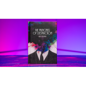 Principles of Destruction by Ben Seidman