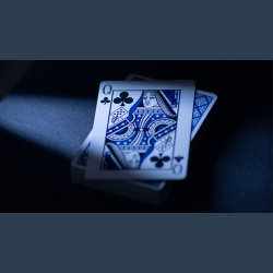 Sleights Playing Cards by EmilySleights52