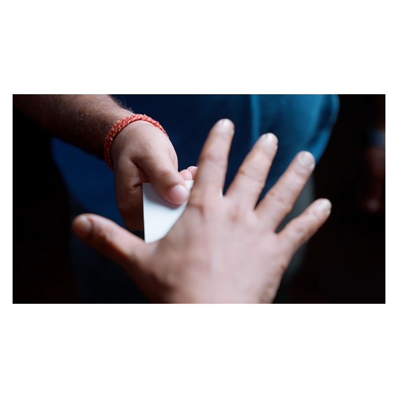 InSight by Manoj Kaushal