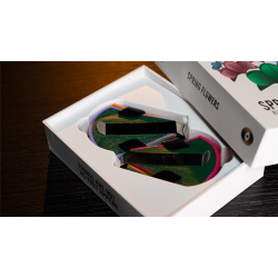 SPRING FLOWERS (2 PK PAPER)