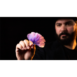 SPRING FLOWERS (2 PK PAPER)