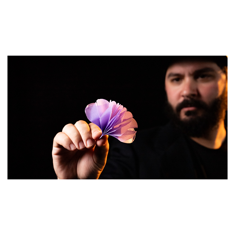 SPRING FLOWERS (2 PK PAPER)