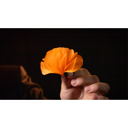 SPRING FLOWERS (2 PK PAPER)