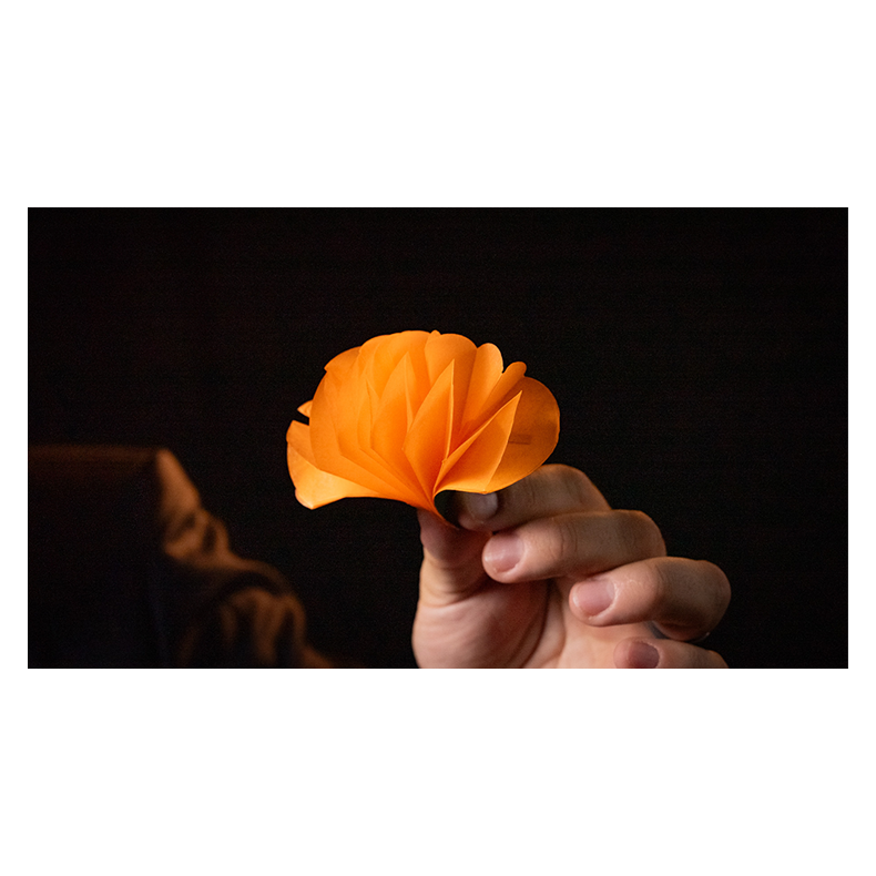 SPRING FLOWERS (2 PK PAPER)