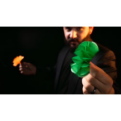 SPRING FLOWERS (2 PK PAPER)