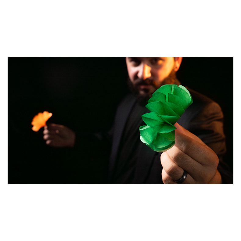 SPRING FLOWERS (2 PK PAPER)