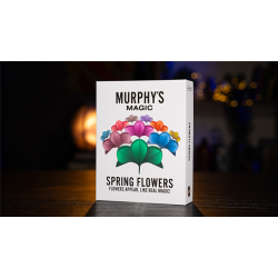 SPRING FLOWERS (2 PK PAPER)