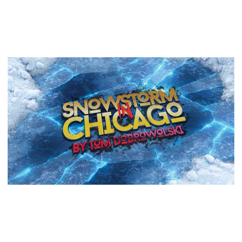 Snowstorm In Chicago by Tom Dobrowolski