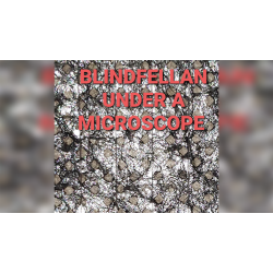  Blindfellan by Kevin Cunliffe