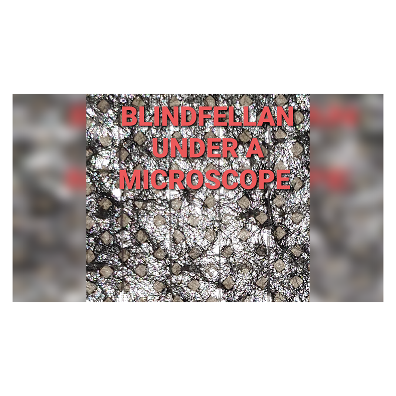  Blindfellan by Kevin Cunliffe