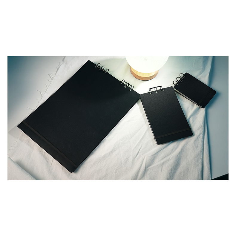 Svengali Album by Winston &amp; TCC Magic (Playing Card Size)