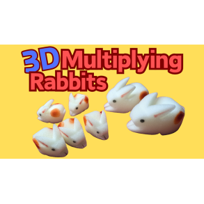 3D Multiplying Rabbits