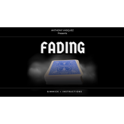  Fading by Anthony Vasquez