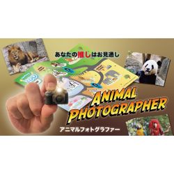 Animal photographer
