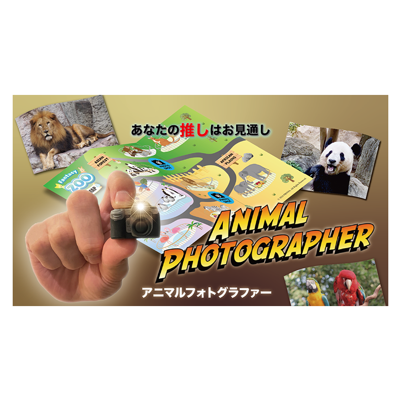 Animal photographer