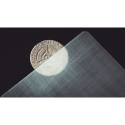 Transparent Matrix (Half Dollar) by Richard Mo