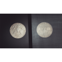 Transparent Matrix (Half Dollar) by Richard Mo