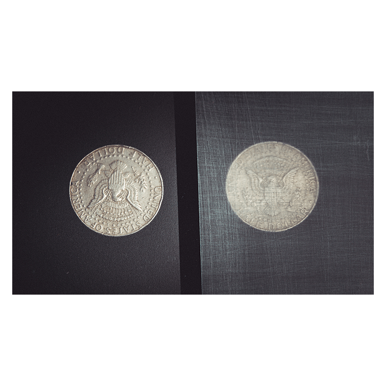 Transparent Matrix (Half Dollar) by Richard Mo