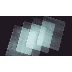 Transparent Matrix (Half Dollar) by Richard Mo