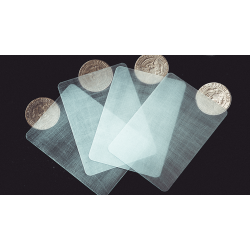 Transparent Matrix (Half Dollar) by Richard Mo