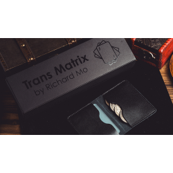 Transparent Matrix (Half Dollar) by Richard Mo