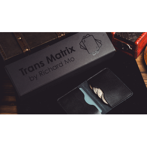 Transparent Matrix (Half Dollar) by Richard Mo