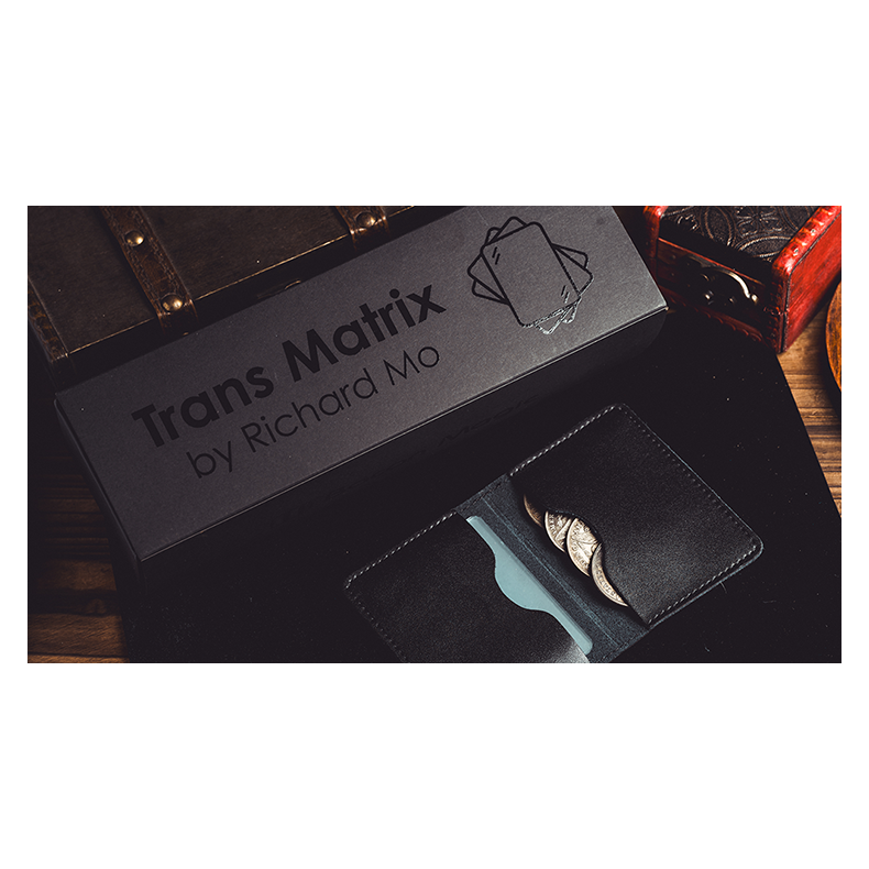 Transparent Matrix (Half Dollar) by Richard Mo