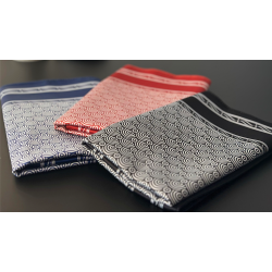 Invisible Devil by Lee Alex