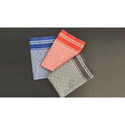 Invisible Devil by Lee Alex