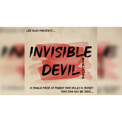 Invisible Devil by Lee Alex