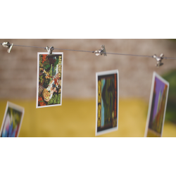 Gravity Clips by Greg Van Holsbeck.