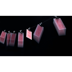 Gravity Clips by Greg Van Holsbeck.