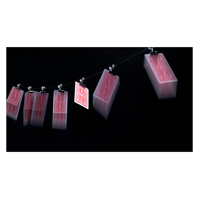 Gravity Clips by Greg Van Holsbeck.