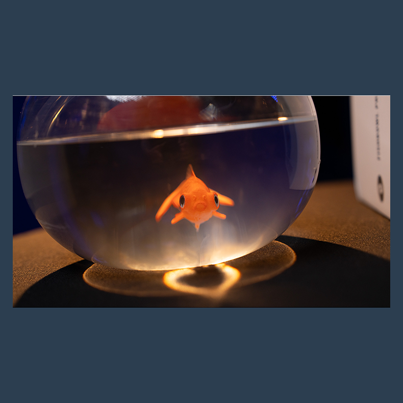 Fishbowl Production