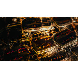 Coin Guessing Game by LT Magic