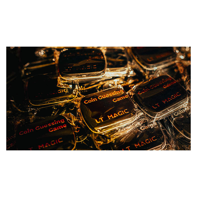 Coin Guessing Game by LT Magic