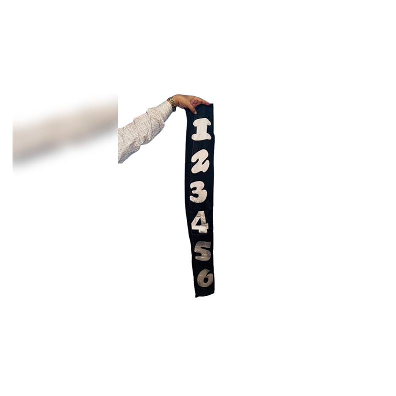 Jumbled Numbers by The Essel Magic