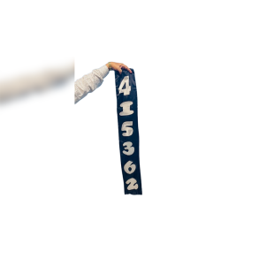 Jumbled Numbers by The Essel Magic