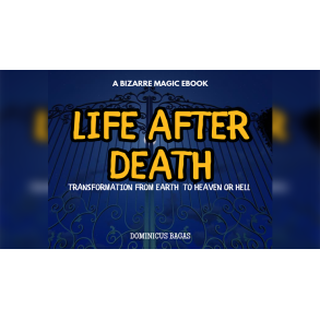 Life After Death by Dominicus Bagas eBook DOWNLOAD