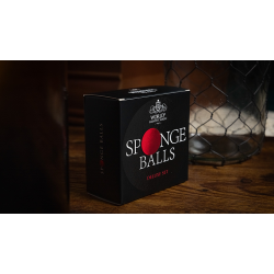WGM SPONGE BALLS