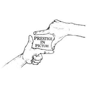 Prestige In Picture by Landon Stark eBook DOWNLOAD