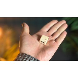 Trinity by Mark Lemon