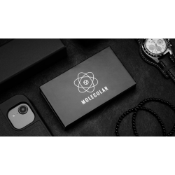 T-1000 Plus by Nemo and Hanson Chien