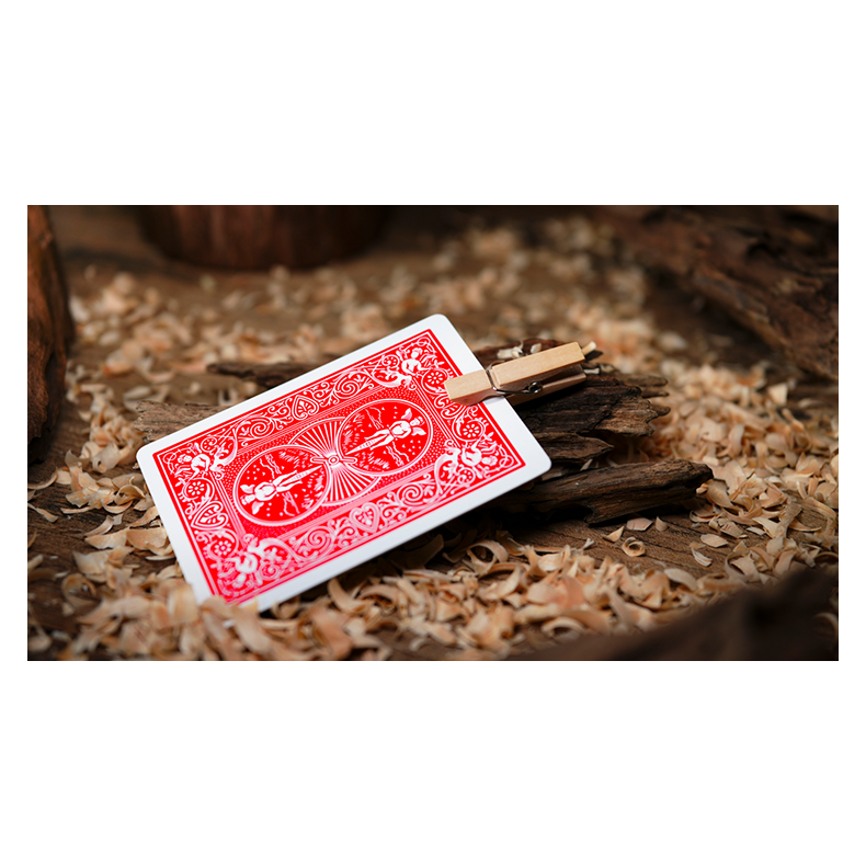 PIN by Flat Base &amp; TCC Magic