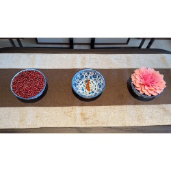 Ancient Chinese Bowls Act by JT Magic