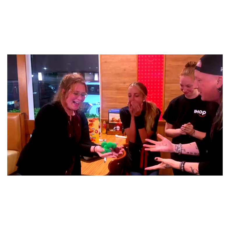 HANDY DANDY DUMPER (Sponge Delivery Device)