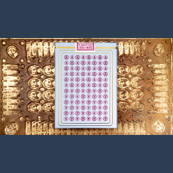 Limited No.13 Table Players Vol.17 Playing Cards by Kings Wild Project
