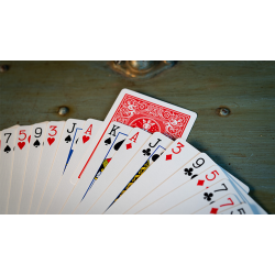 SURE SPLIT Invisible Deck Bicycle