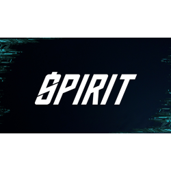 Spirit by Ardubi &amp; Doosung Hwang