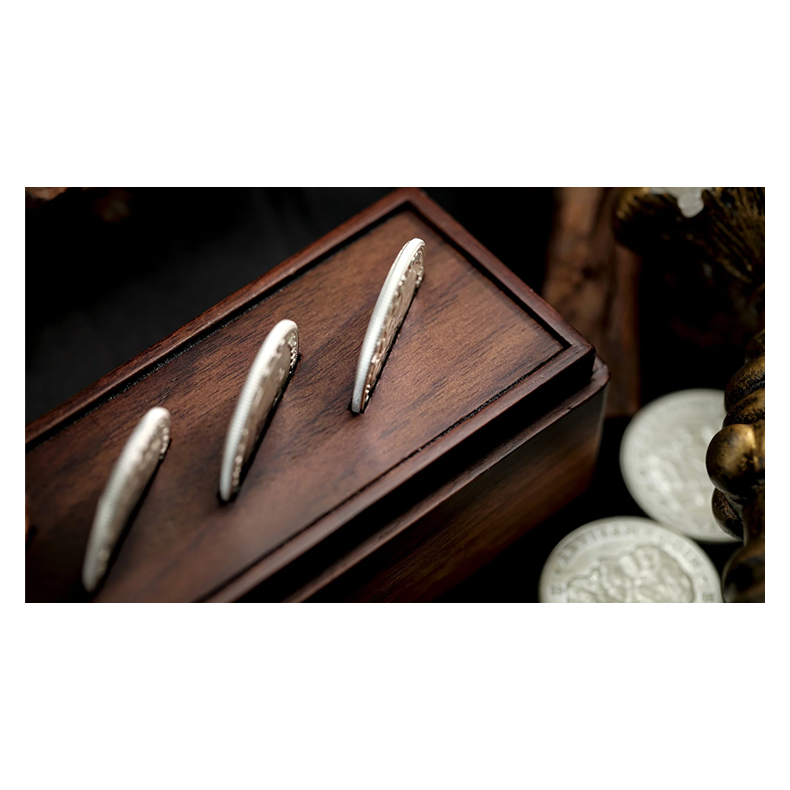 The Oddest Coin by David Penn &amp; TCC Magic